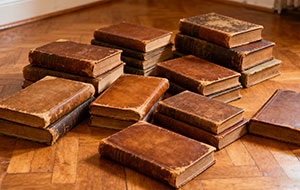 Climate Change Article